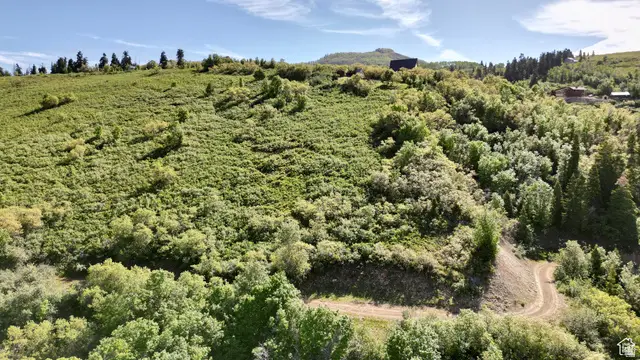 23206 N 14136 E #131, Fairview, UT 84629 - #2