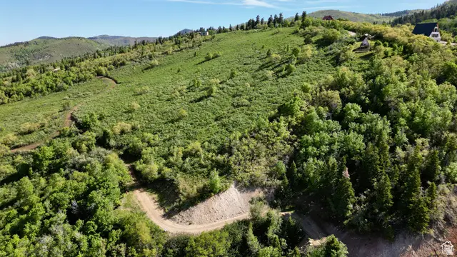 23206 N 14136 E #131, Fairview, UT 84629 - #3