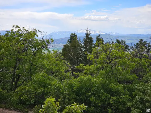 3 Whispering Pines Rd #3, Mount Pleasant, UT 84647 - #1