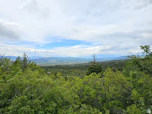 13 Pine Crest Dr #13, Mount Pleasant, UT 84647 - #2