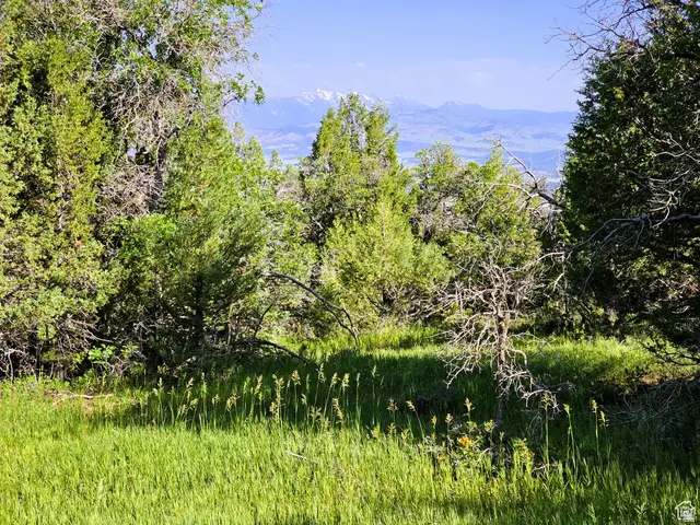 13 Pine Crest Dr #13, Mount Pleasant, UT 84647 - #3