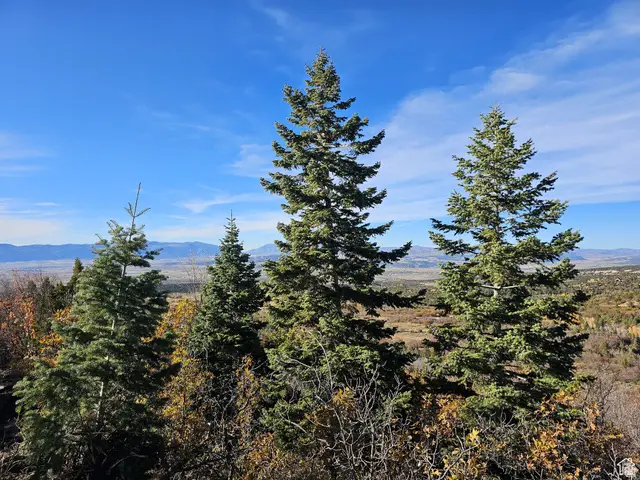 17 Pine Crest Dr, Mount Pleasant, UT 84647 - #1