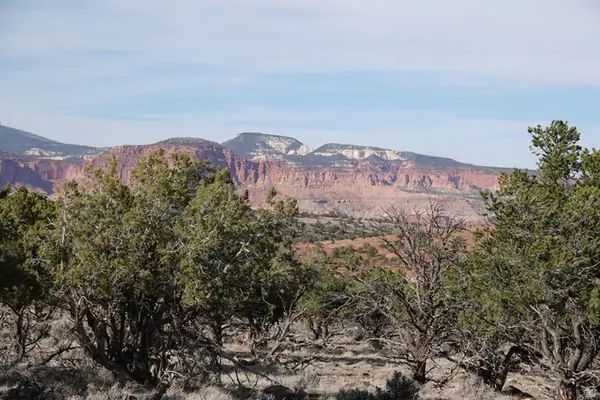 1115 E Donkey Flats Rd, Teasdale, UT 84773