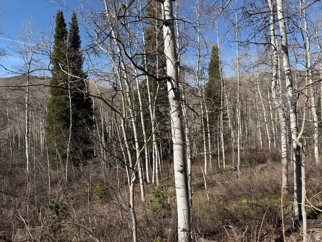 5209 White Pine Cir #545, Oakley, UT 84055 - #1