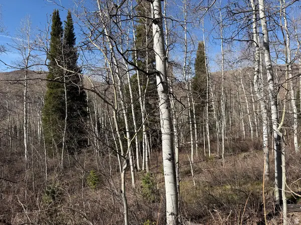 5209 White Pine Cir #545, Oakley, UT 84055