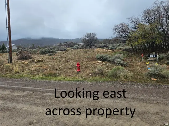 22690 Spring Creek Dr #B65, Fairview, UT 84629 - #3