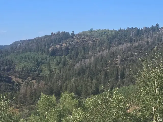 4000 Ant Flat Rd #53, Avon, UT 84328 - #3