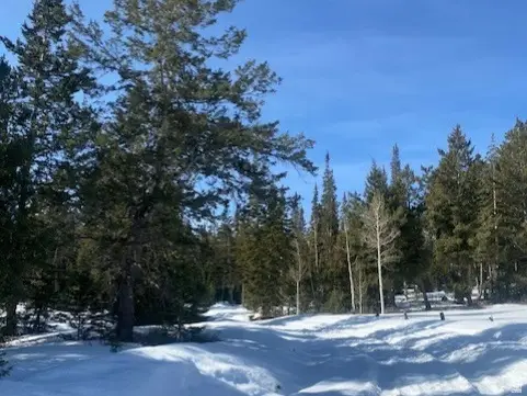 11 N 0011-0928 E #11928, Duchesne, UT 84021 - #3