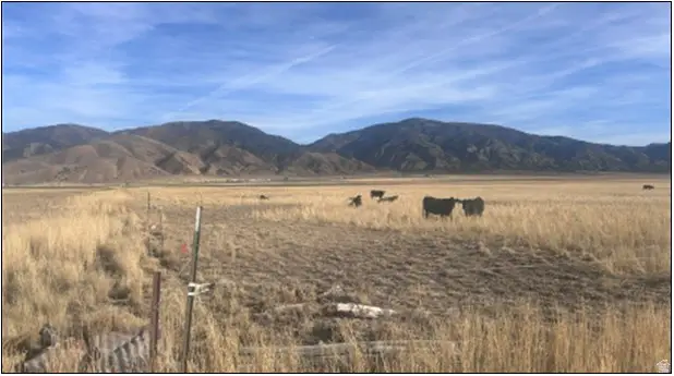 Address Withheld By Seller, Levan, UT 84639 - #2