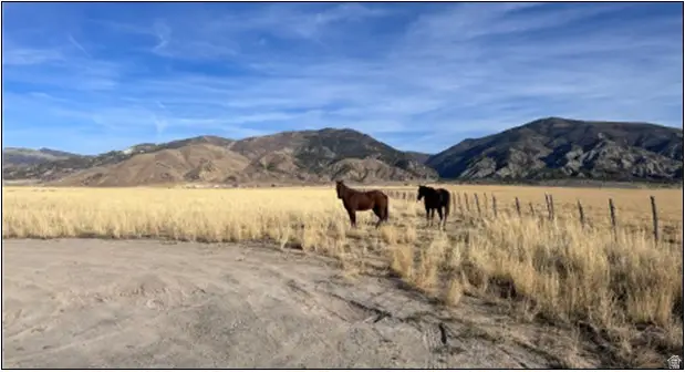 Address Withheld By Seller, Levan, UT 84639 - #3