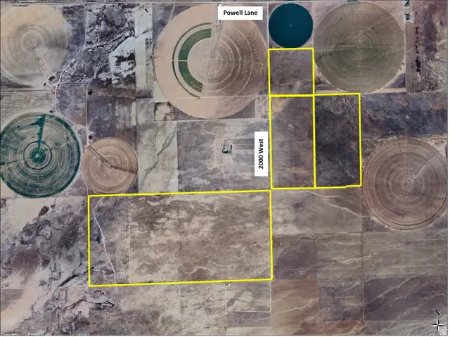 Address Withheld By Seller, Levan, UT 84639 - #2