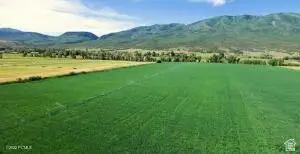 565 E Main Canyon Rd, Wallsburg, UT 84082 - #3
