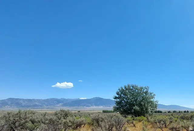 Address Withheld By Seller, Rush Valley, UT 84069 - #1