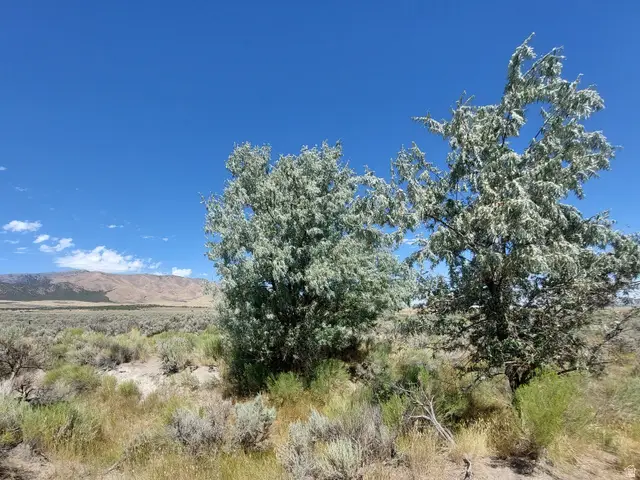 Address Withheld By Seller, Rush Valley, UT 84069 - #2