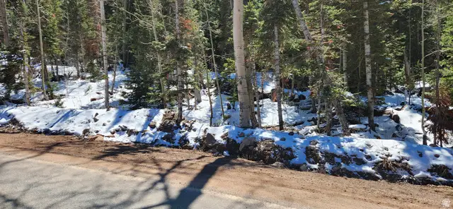 Address Withheld By Seller, Brian Head, UT 84719 - #1