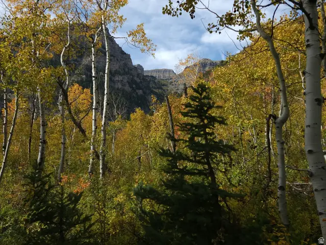 7347 Jim Bridger Dr #H47, Huntsville, UT 84317 - #2