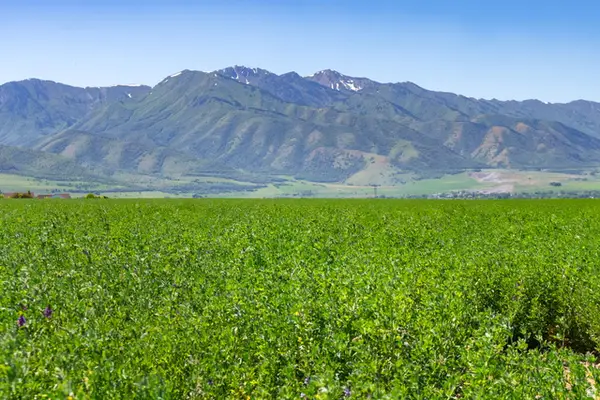 2665 W 6400 S #6, Wellsville, UT 84339