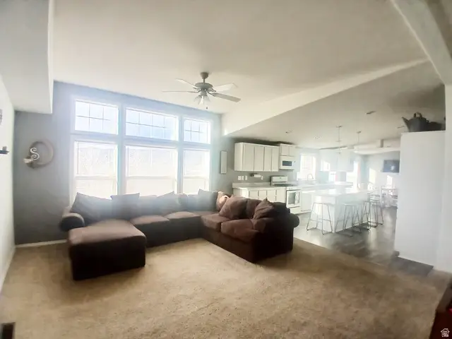 1209 W Hwy 43, Manila, UT 84046 - #3