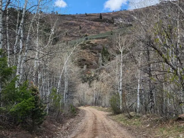 11626 Sunridge Cir #SR15, Huntsville, UT 84317 - #2