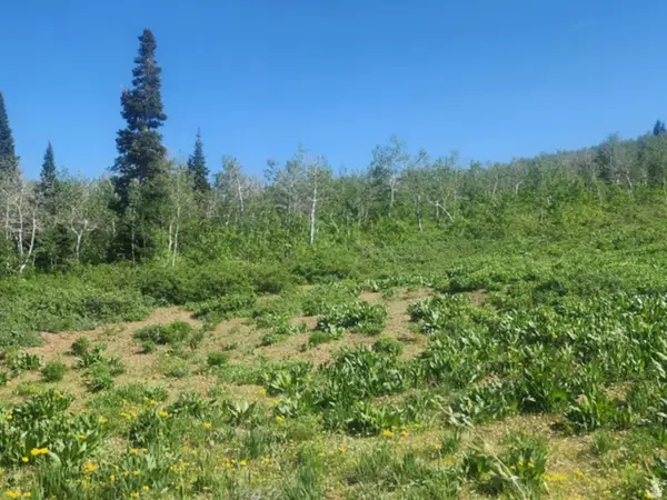 7434 N Rendezvous Rd #H250, Huntsville, UT 84317