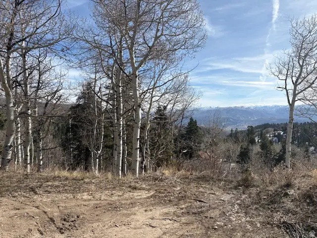 2185 S Uintah View Dr #46, Wanship, UT 84017 - #3