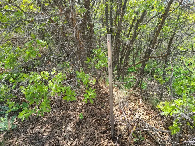 300 E Sky Crest Dr S #300, Indianola, UT 84629 - #3