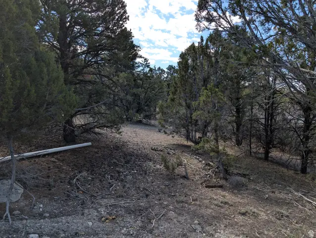 Address Withheld By Seller, Fairview, UT 84629 - #3