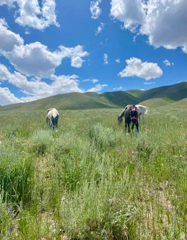 25 Stansbury Agricultural Propert #25, Grantsville, UT 84029 - #1