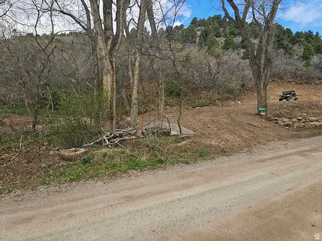 53 S Birch Creek Dr #D53, Fairview, UT 84629 - #3