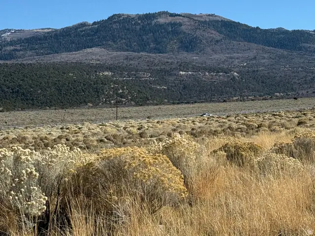#1, Mount Pleasant, UT 84647 - #1