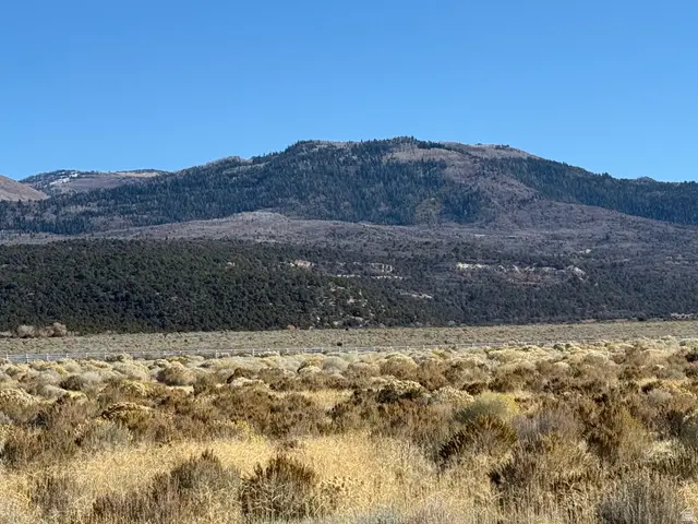 #2, Mount Pleasant, UT 84647 - #3