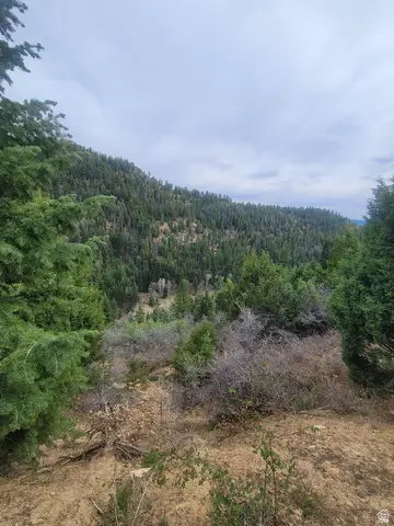 71 W Sky Hvn, Duck Creek Village, UT 84762 - #1
