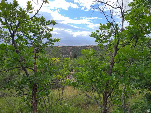 1132 E Shadow Way S #1132, Fairview, UT 84629