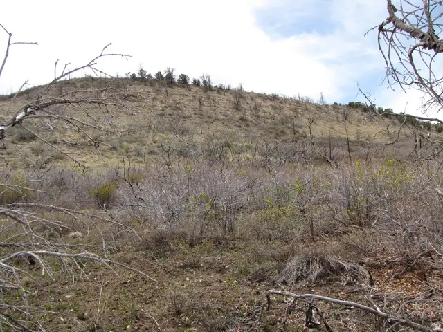 #238, Fruitland, UT 84027 - #2