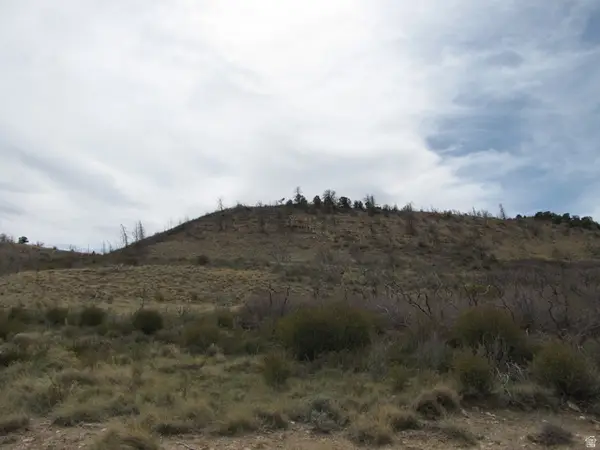 #239, Fruitland, UT 84027