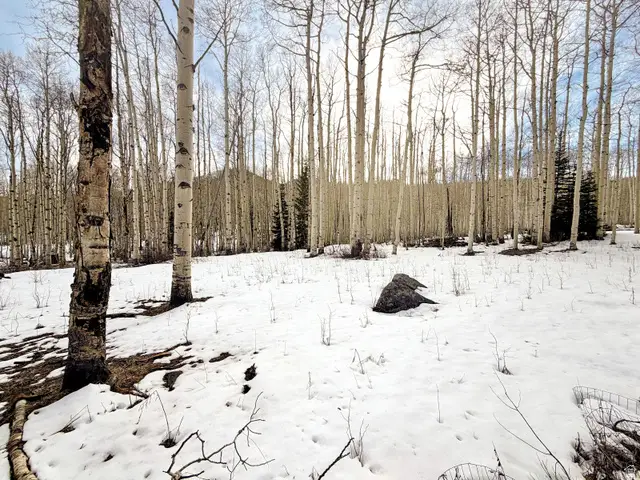 5384 N Rocky Rd, Midway, UT 84049 - #1