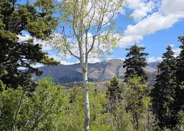 27 Pine Ridge Rd #27, Mount Pleasant, UT 84647 - #2