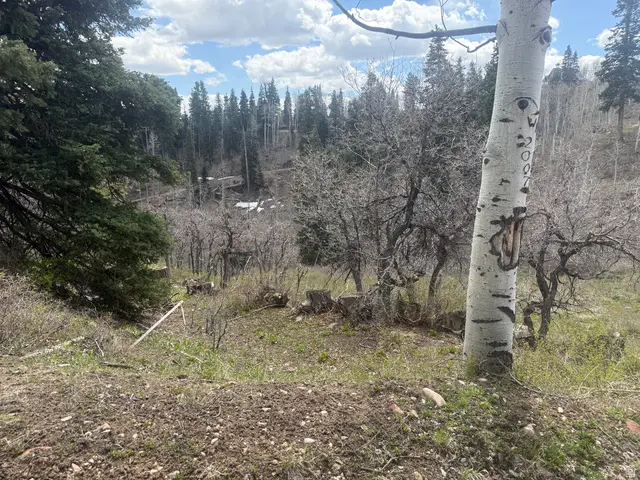 2211 Pine Rd #64, Coalville, UT 84017 - #3