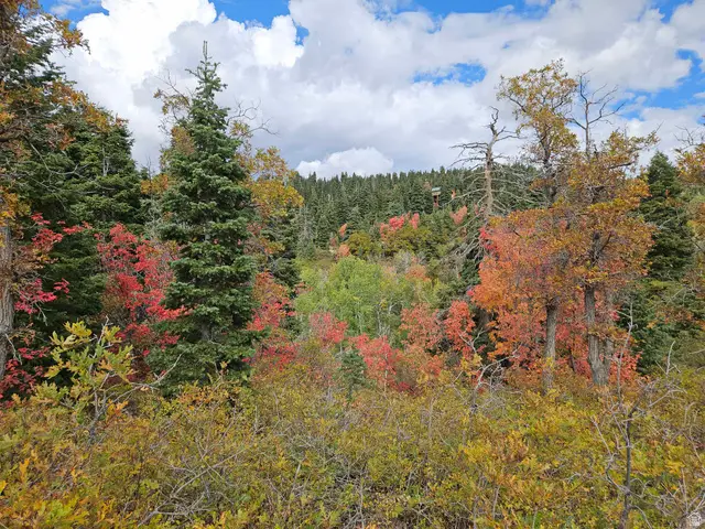 29 E Deer Valley Dr S #K29, Fairview, UT 84629 - #3