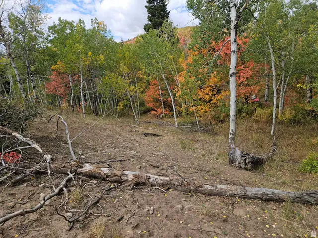 30 E Deer Valley Dr S #K30, Fairview, UT 84629 - #1