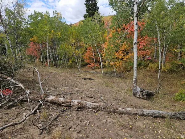 30 E Deer Valley Dr S #K30, Fairview, UT 84629