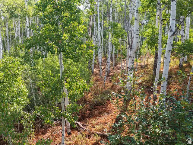 2919 S Green Briar Way #543, Heber City, UT 84032 - #2