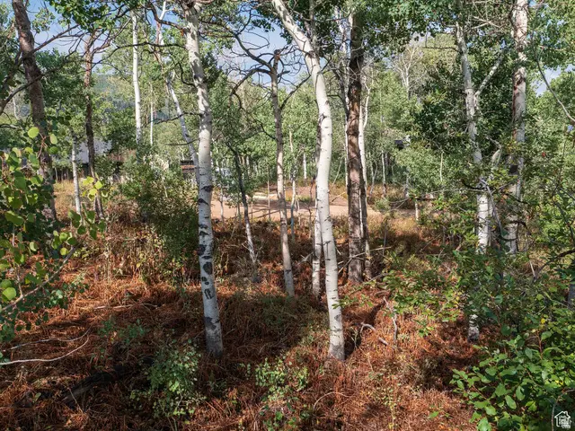 2919 S Green Briar Way #543, Heber City, UT 84032 - #3