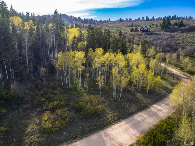 2462 S Bull Moose Dr #46, Coalville, UT 84017 - #3