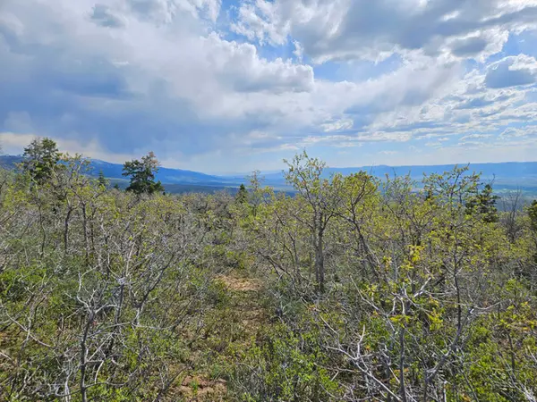 1246 E North Fork Rd S #1246, Fairview, UT 84629