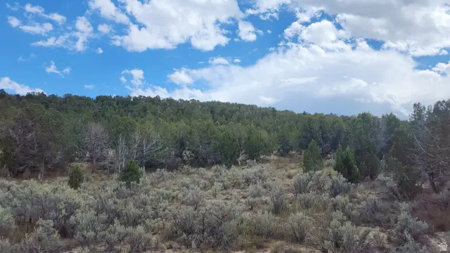 #90, Indianola, UT 84629 - #1