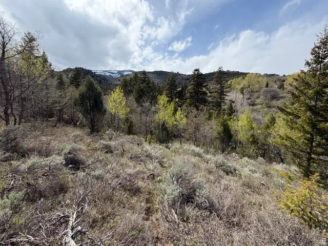 1300 W Swan Creek Spring Rd, Garden City, UT 84028 - #2