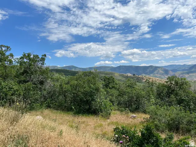 #41, Springville, UT 84663 - #2