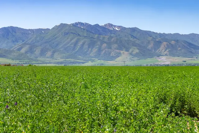 2765 W 6400 S #8, Wellsville, UT 84339 - #3