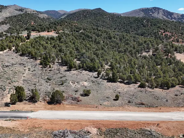 4953 W Cougar Run Rd #20, Birdseye, UT 84629